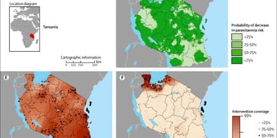 Žemėlapis tanzanija maliarija 