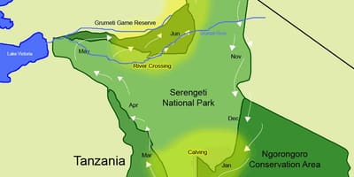 Žemėlapis tanzanija migracijos 